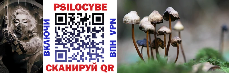 Псилоцибиновые грибы мицелий где купить Нюрба